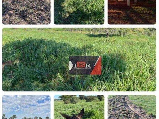 Fazenda venda em Miranda, Miranda