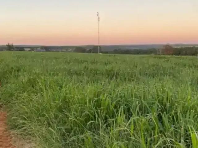 Fazenda venda em Região Geográfica Imediata de Aquidauana - Anastácio, Miranda
