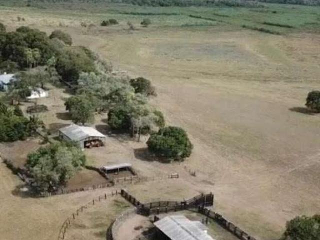 Fazenda venda em Miranda, Miranda