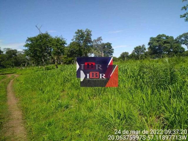 Fazenda venda em Miranda, Miranda