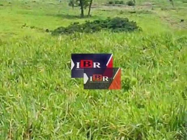 Fazenda venda em Miranda, Miranda