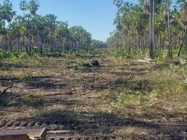 Fazenda venda em Região Geográfica Imediata de Aquidauana - Anastácio, Miranda