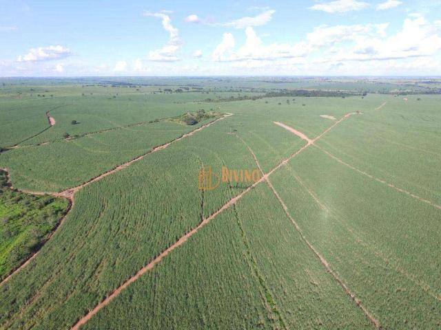 Fazenda venda em Região Imediata de Andradina, Mirandópolis