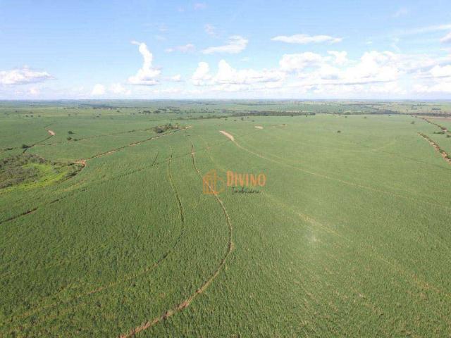 Fazenda venda em Região Imediata de Andradina, Mirandópolis