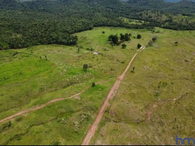 Fazenda venda em Miracema do Tocantins, Região Norte