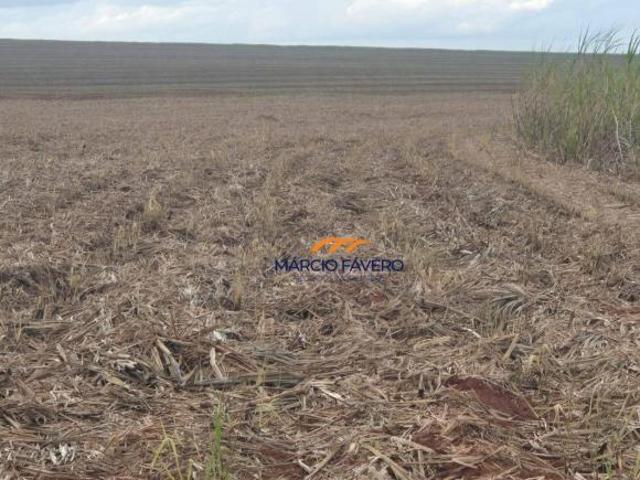 Sítio e chácara venda em Região Imediata de Presidente Prudente, Mirante do Paranapanema