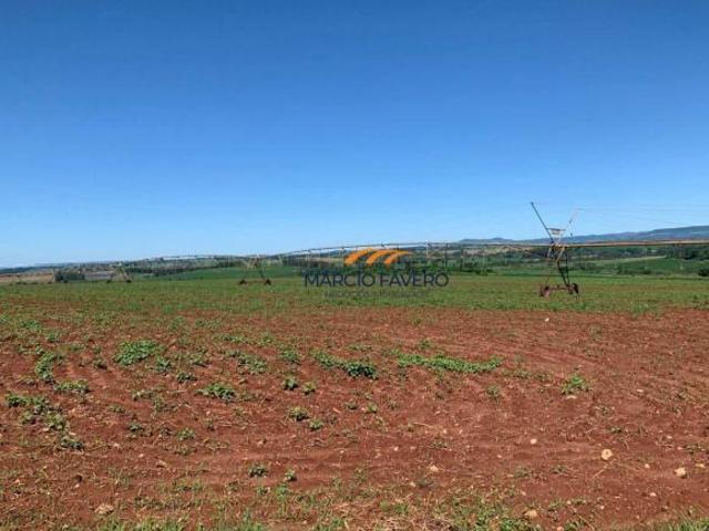 Sítio e chácara venda em Mococa