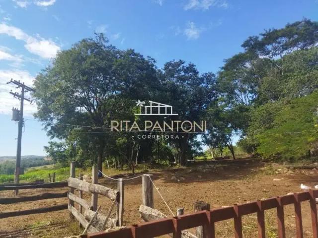 Fazenda venda em Região Imediata de São José do Rio Pardo-Mococa, Região Metropolitana de Ribeirão Preto