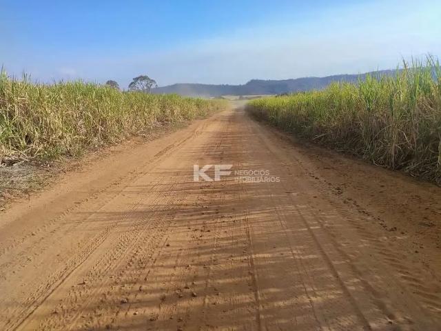 Fazenda venda em Região Imediata de São José do Rio Pardo-Mococa, Região Metropolitana de Ribeirão Preto