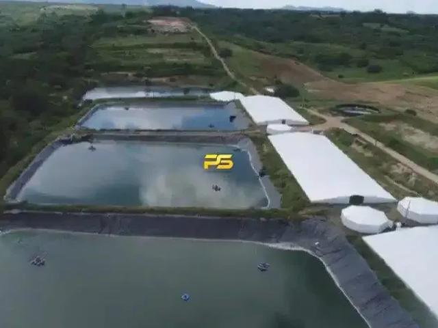 Fazenda venda em Região Geográfica Imediata de Itabaiana, Região Metropolitana de Itabaiana