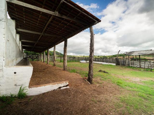 Fazenda venda em Mogeiro, Região Geográfica Intermediária de João Pessoa