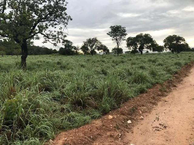 Fazenda venda em Região Geográfica Imediata de Posse-Campos Belos, Monte Alegre de Goiás