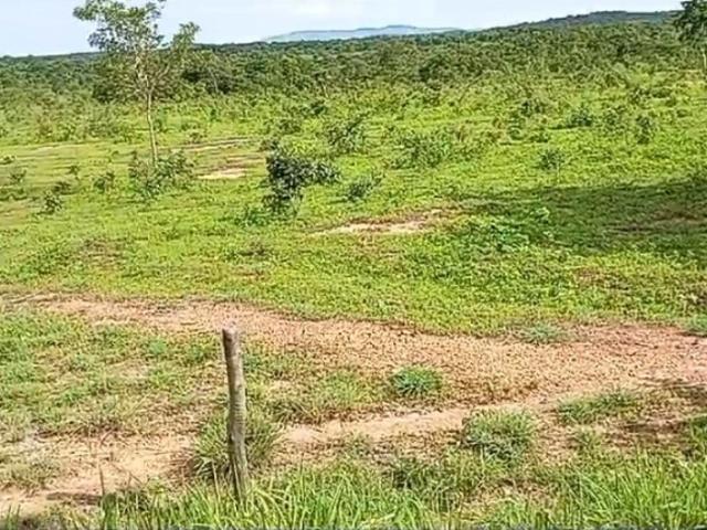 Fazenda venda em Região Geográfica Imediata de Posse-Campos Belos, Monte Alegre de Goiás