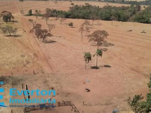 Fazenda venda em Região Geográfica Imediata de Uberlândia, Monte Alegre de Minas