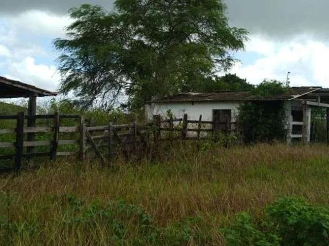 Fazenda venda em Jardim Itacolomy, Ribeirão Pires