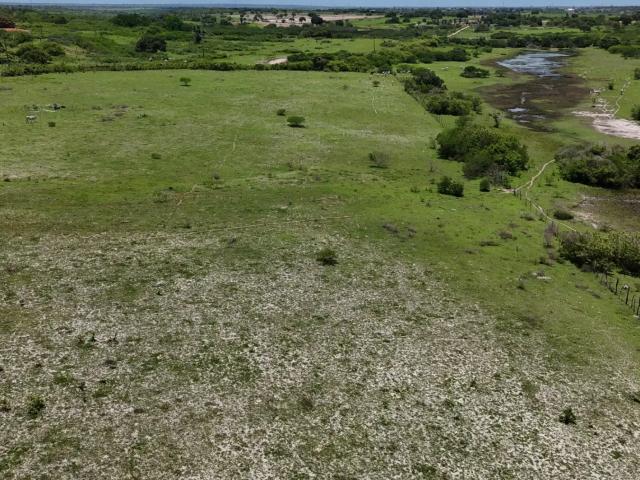 Fazenda venda em Região Geográfica Imediata de Natal, Monte Alegre
