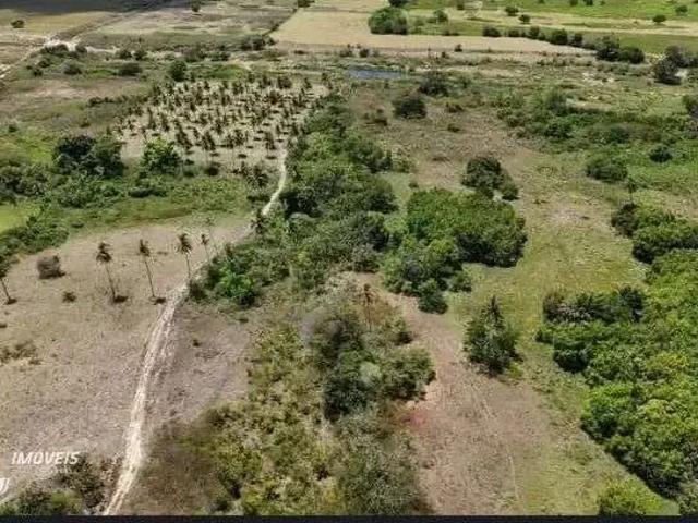 Fazenda venda em Monte Alegre