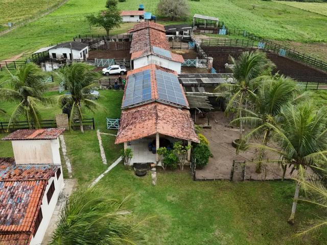 Fazenda venda em Região Geográfica Imediata de Natal, Monte Alegre