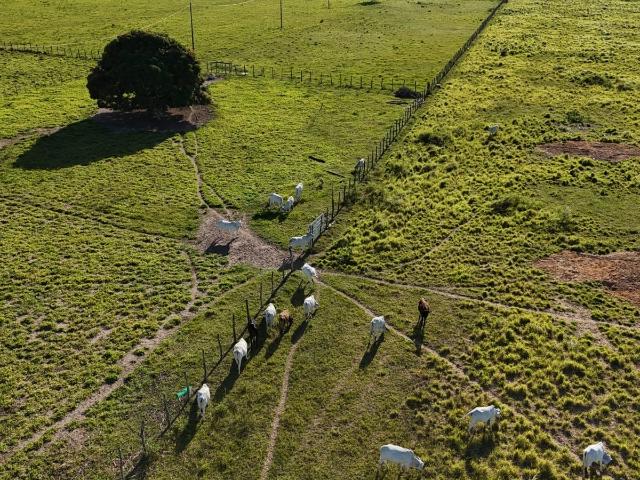 Fazenda venda em Monte Alegre