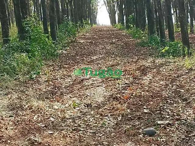 Fazenda venda em Região Imediata de São José do Rio Preto, Região Metropolitana de São José do Rio Preto