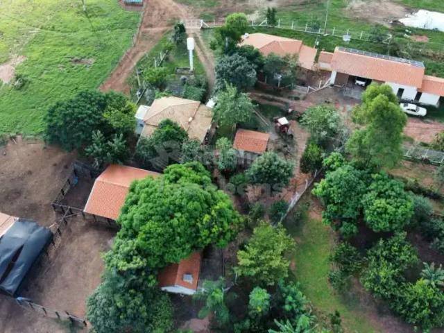 Fazenda venda em Região Imediata de São José do Rio Preto, Região Metropolitana de São José do Rio Preto