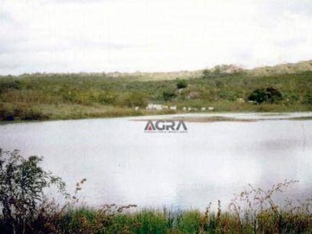 Sítio e chácara venda em Monte Azul, Região Sudeste