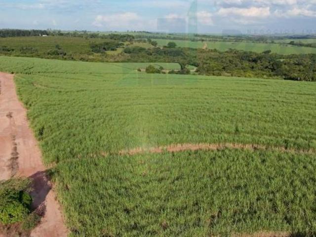 Sítio e chácara venda em Região Imediata de Barretos, Monte Azul Paulista