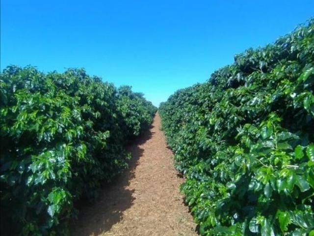 Sítio e chácara venda em Região Geográfica Imediata de Monte Carmelo, Monte Carmelo