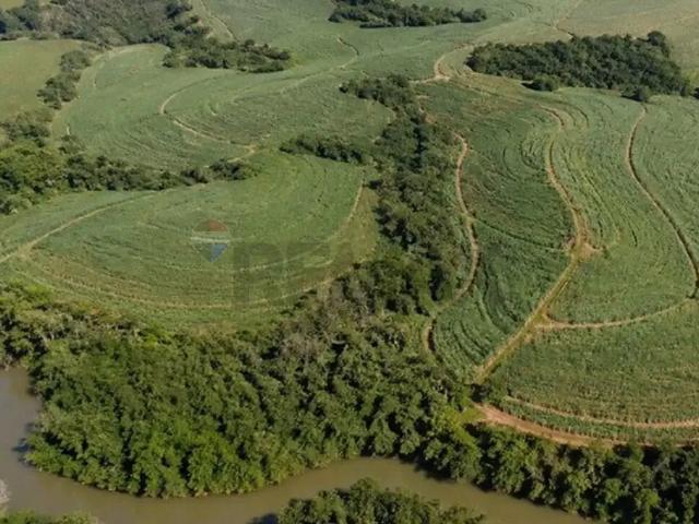 Fazenda venda em Monte Mor