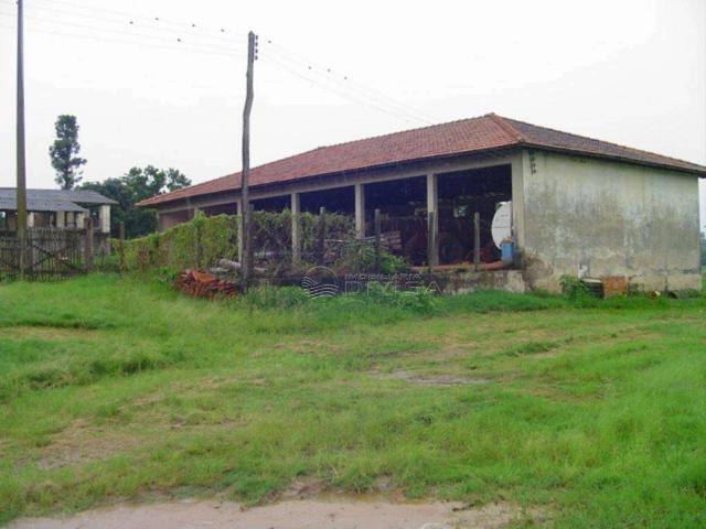 Fazenda venda em Monte Mor
