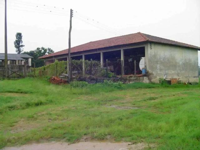 Fazenda venda em Região Imediata de Campinas, Região Metropolitana de Campinas