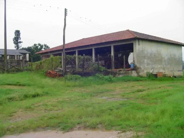Fazenda venda em Região Imediata de Campinas, Região Metropolitana de Campinas