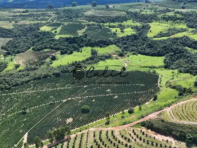 Fazenda venda em Região Geográfica Imediata de São Sebastião do Paraíso, Monte Santo de Minas