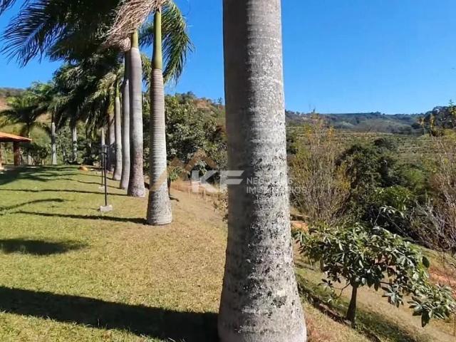 Fazenda venda em Monte Santo de Minas, Região Geográfica Intermediária de Varginha