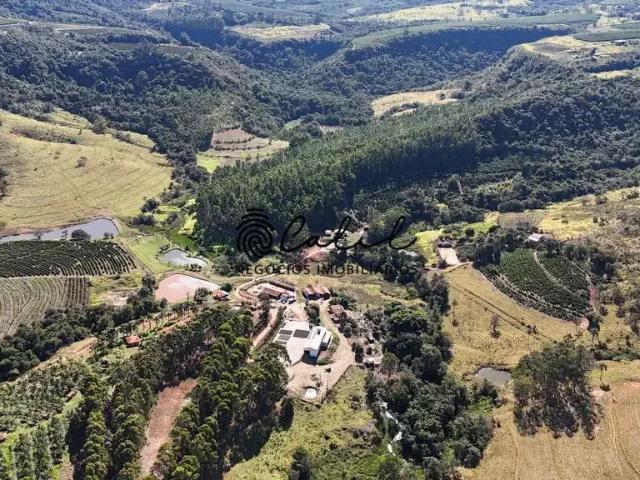 Fazenda venda em Região Geográfica Imediata de São Sebastião do Paraíso, Monte Santo de Minas