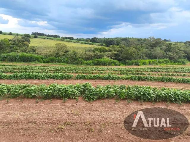 Fazenda venda em Região Geográfica Imediata de São Sebastião do Paraíso, Monte Santo de Minas