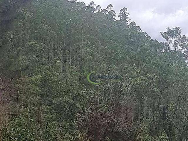 Fazenda venda em Região Imediata de São José dos Campos, Região Metropolitana do Vale do Paraíba e Litoral Norte
