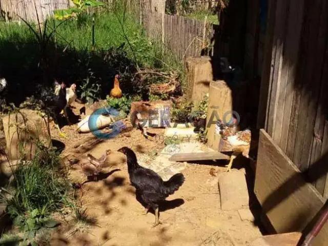 Fazenda venda em Região Imediata de São José dos Campos, Região Metropolitana do Vale do Paraíba e Litoral Norte