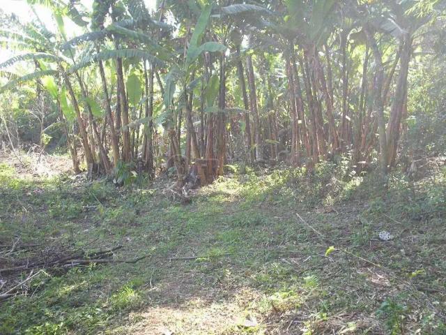 Fazenda venda em Região Imediata de São José dos Campos, Região Metropolitana do Vale do Paraíba e Litoral Norte