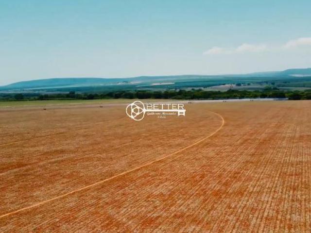 Sítio e chácara venda em Região Geográfica Imediata de Montes Claros, Montes Claros