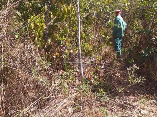 Sítio e chácara venda em Região Geográfica Imediata de Montes Claros, Montes Claros