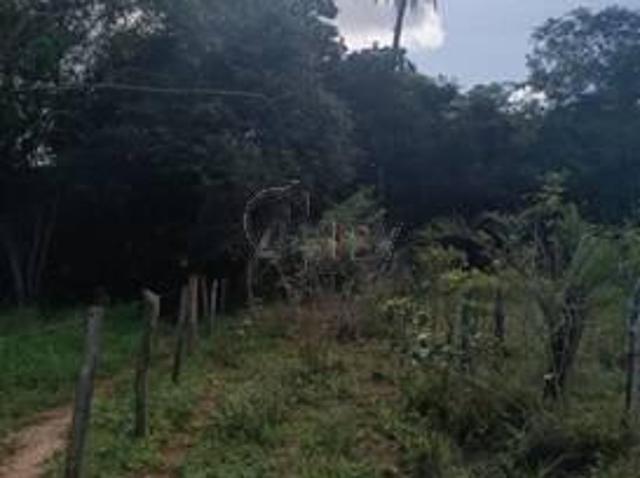 Sítio e chácara venda em Região Geográfica Imediata de Montes Claros, Montes Claros