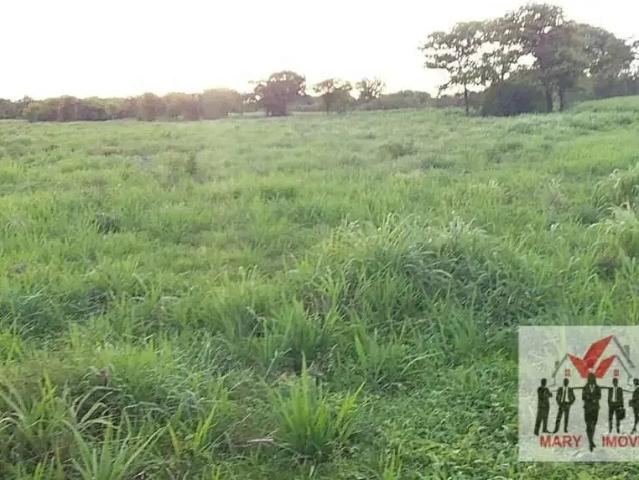 Fazenda venda em Região Geográfica Imediata de Montes Claros, Montes Claros