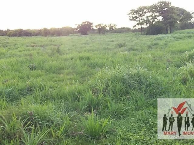 Fazenda venda em Centro, Montes Claros