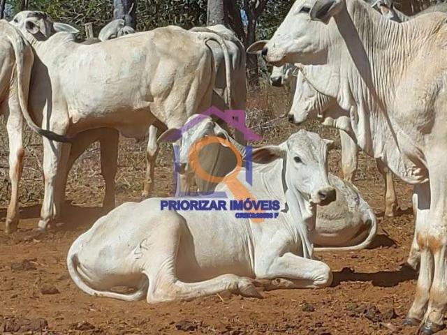 Fazenda venda em Região Geográfica Imediata de Abaeté, Morada Nova de Minas