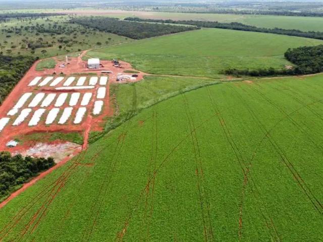 Fazenda venda em Região Geográfica Imediata de Abaeté, Morada Nova de Minas