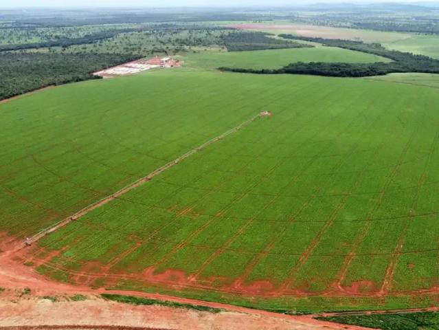 Fazenda venda em Região Geográfica Imediata de Abaeté, Morada Nova de Minas