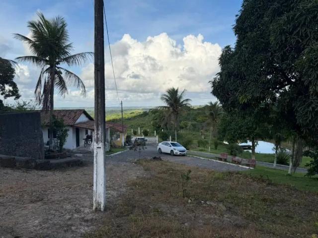 Fazenda venda em Moreno