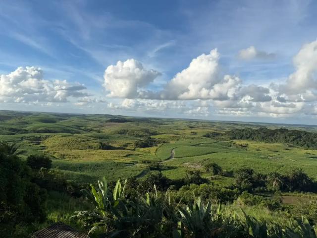 Fazenda venda em Região Geográfica Imediata do Recife, Região Metropolitana do Recife