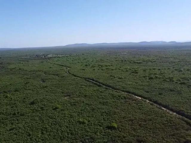 Fazenda venda em Morpará, Região Nordeste